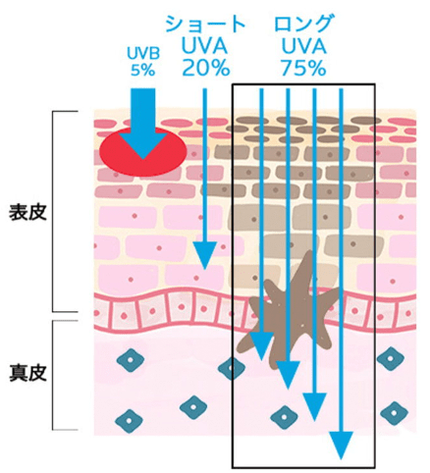 ロングUVA